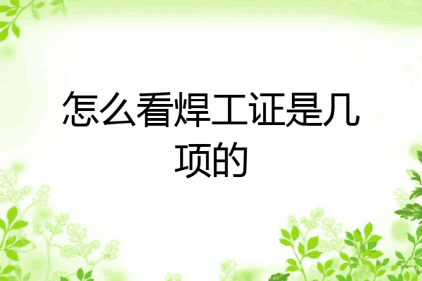 怎么看焊工证是几项的