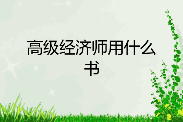 高级经济师用什么书