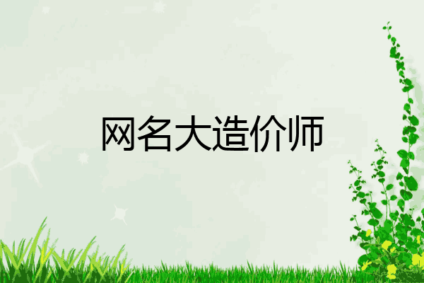 网名大造价师