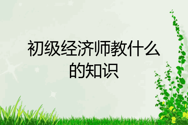 初级经济师教什么的知识