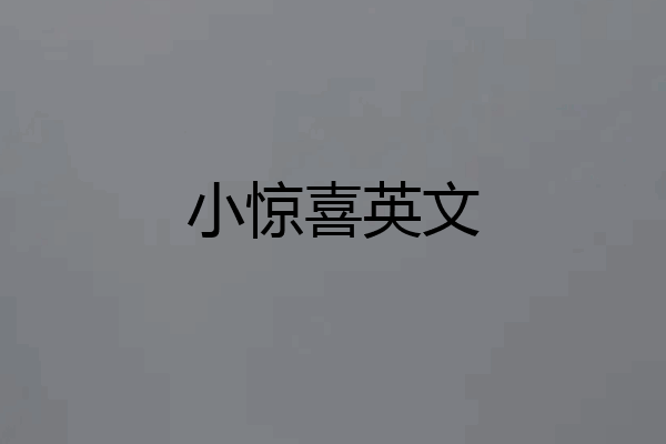 小惊喜英文