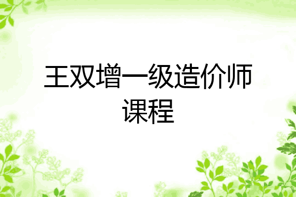 王双增一级造价师课程