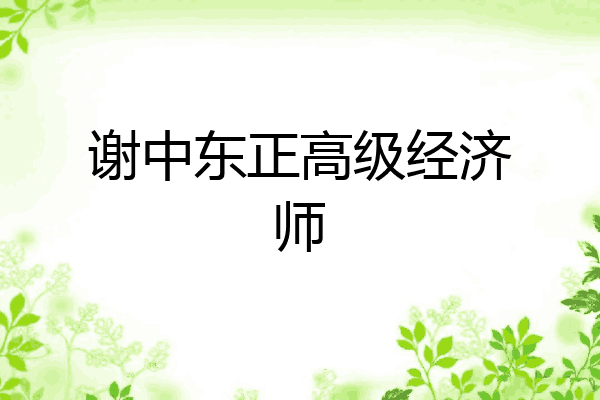 谢中东正高级经济师