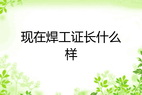 现在焊工证长什么样