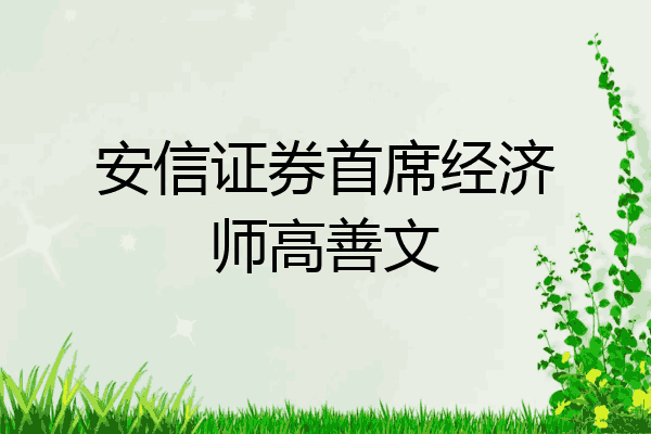 安信证券首席经济师高善文