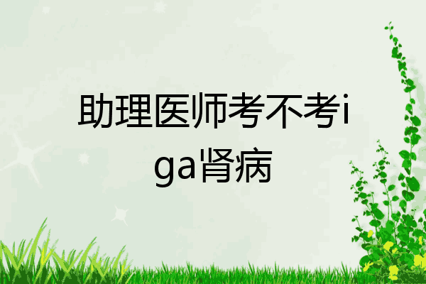助理医师考不考iga肾病