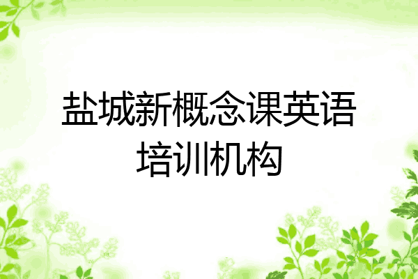 盐城新概念课英语培训机构
