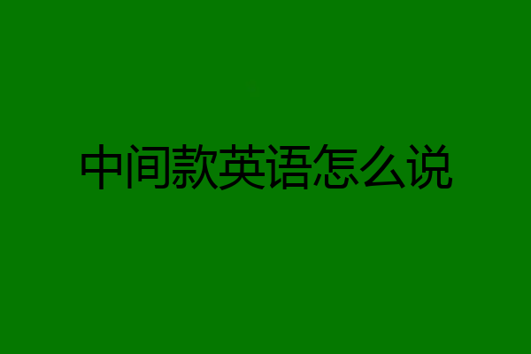 中间款英语怎么说