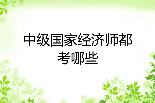 中级国家经济师都考哪些