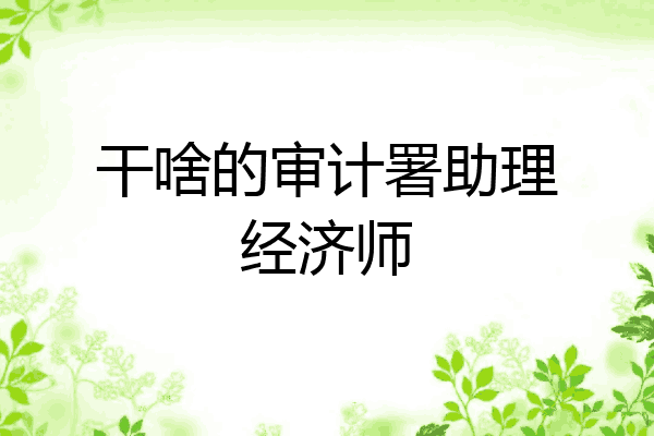 干啥的审计署助理经济师