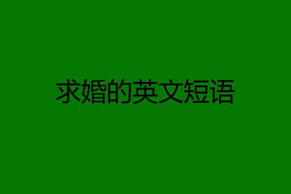 求婚的英文短语