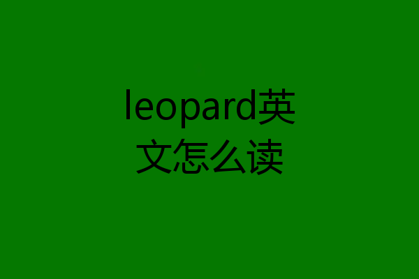 leopard英文怎么读