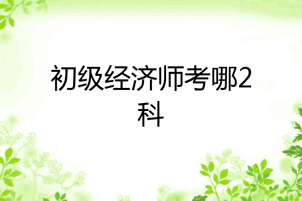 初级经济师考哪2科