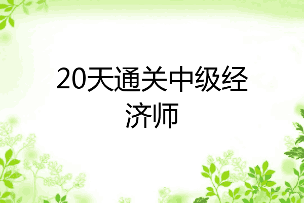 20天通关中级经济师