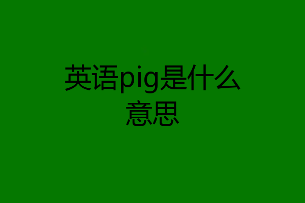 英语pig是什么意思