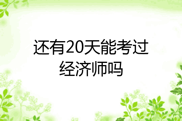还有20天能考过经济师吗