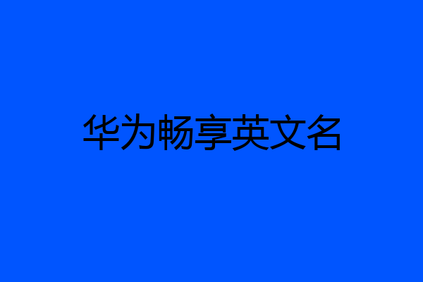 华为畅享英文名