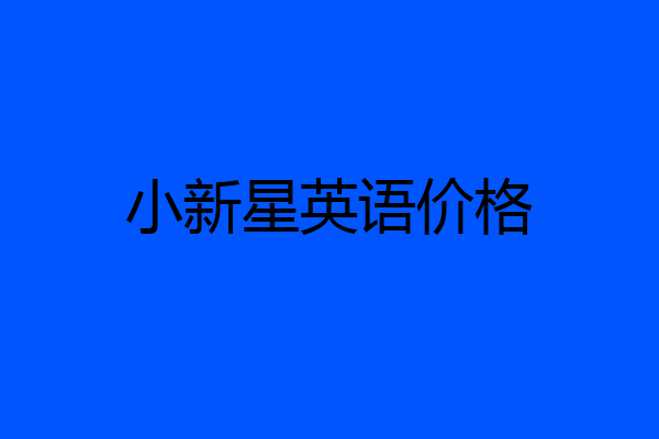 小新星英语价格