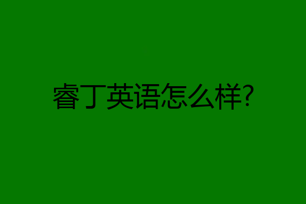 睿丁英语怎么样?