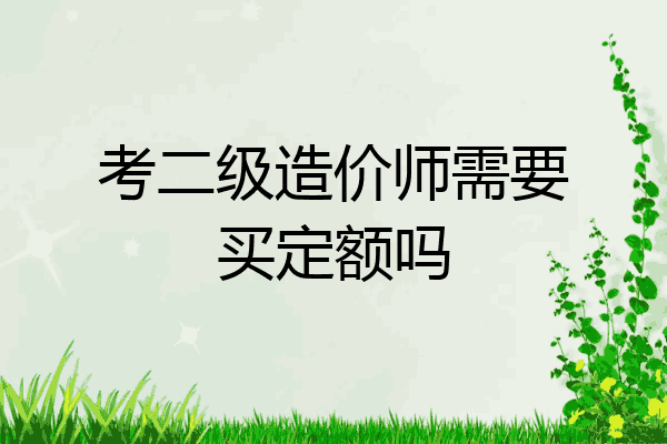 考二级造价师需要买定额吗