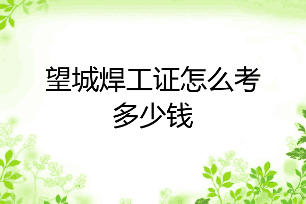 望城焊工证怎么考多少钱