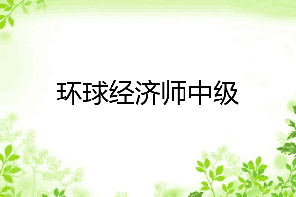 环球经济师中级