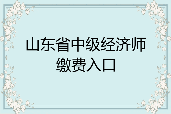 山东省中级经济师缴费入口