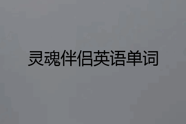 灵魂伴侣英语单词