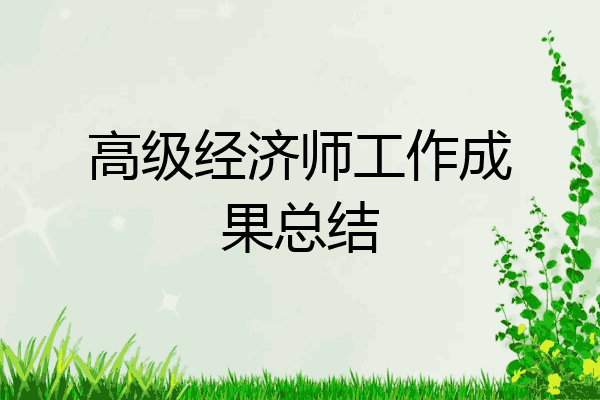 高级经济师工作成果总结
