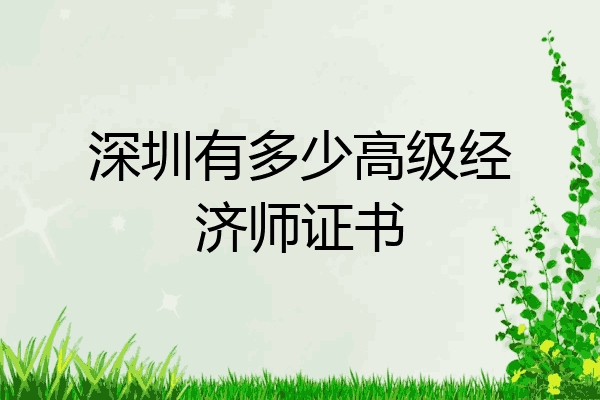 深圳有多少高级经济师证书