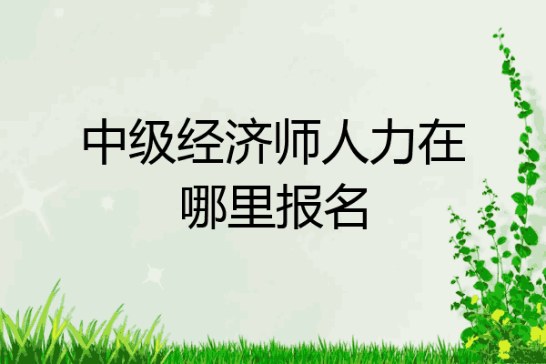 中级经济师人力在哪里报名