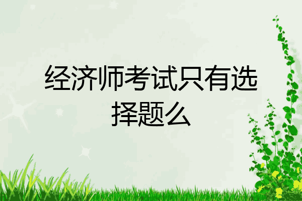 经济师考试只有选择题么