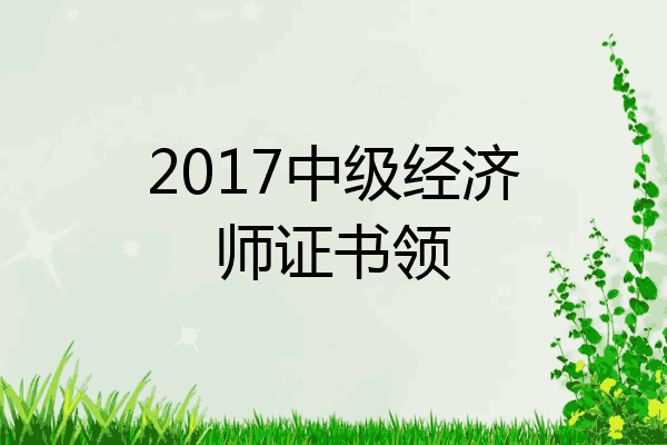 2017中级经济师证书领