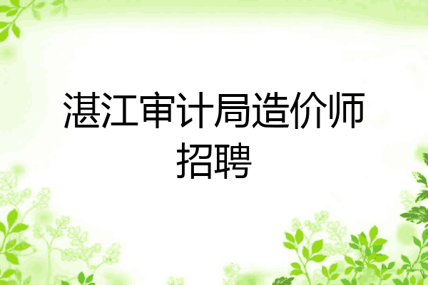 湛江审计局造价师招聘
