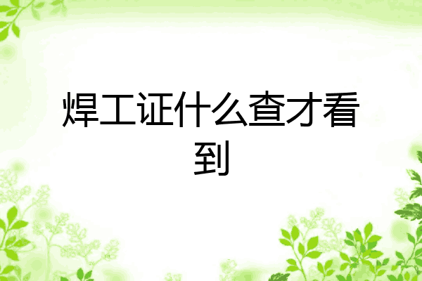 焊工证什么查才看到