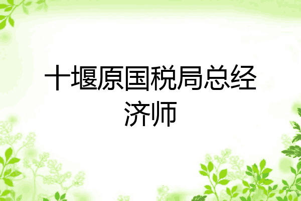 十堰原国税局总经济师