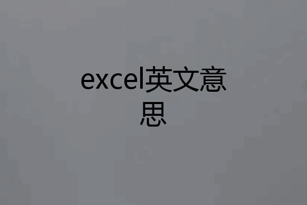 excel英文意思