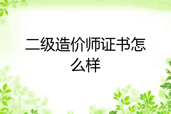 二级造价师证书怎么样
