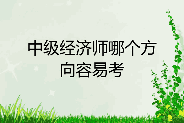 中级经济师哪个方向容易考