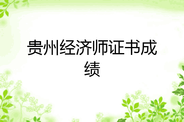 贵州经济师证书成绩