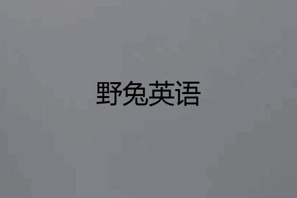 野兔英语
