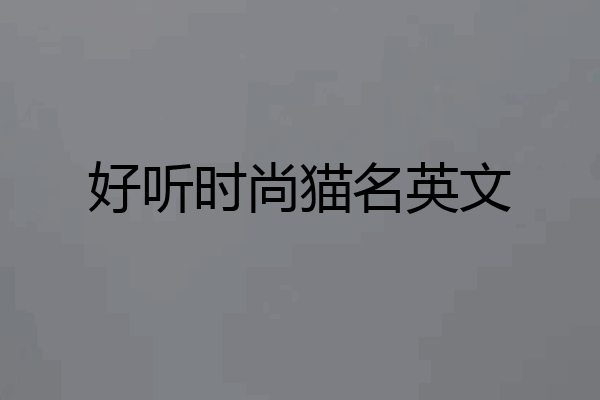 好听时尚猫名英文