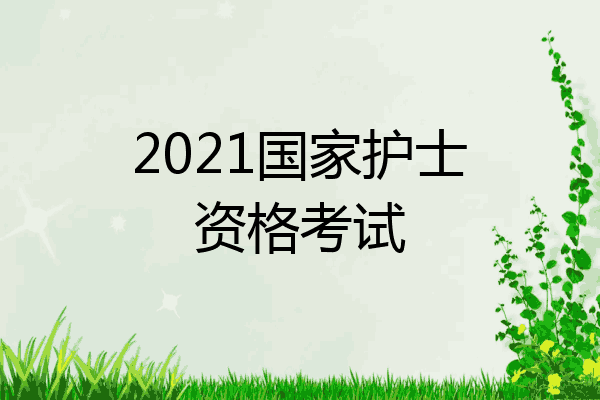 2021国家护士资格考试