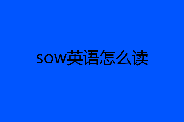 sow英语怎么读