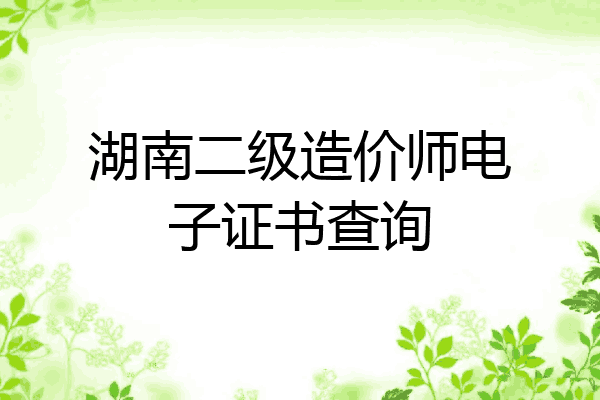 湖南二级造价师电子证书查询