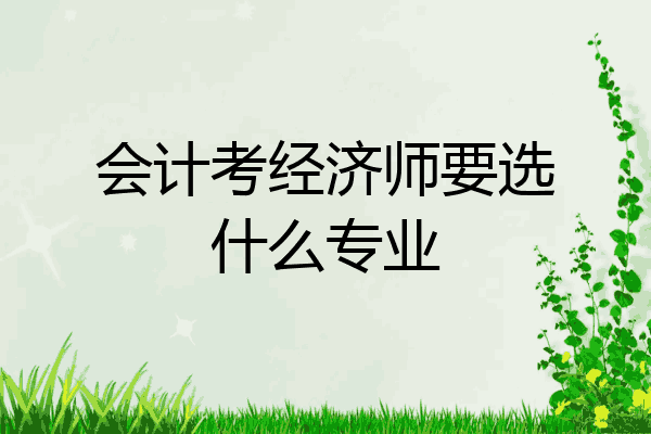 会计考经济师要选什么专业