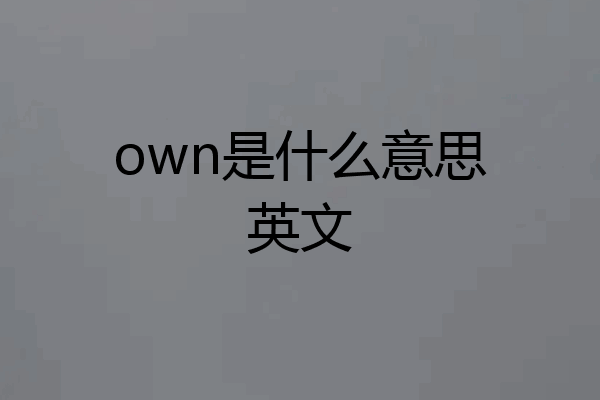 own是什么意思英文