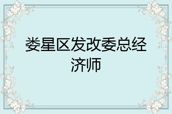 娄星区发改委总经济师