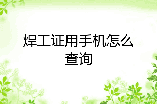 焊工证用手机怎么查询