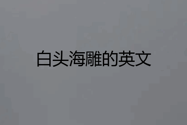 白头海雕的英文